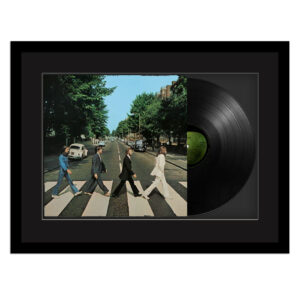 Vinyl Record & Cover